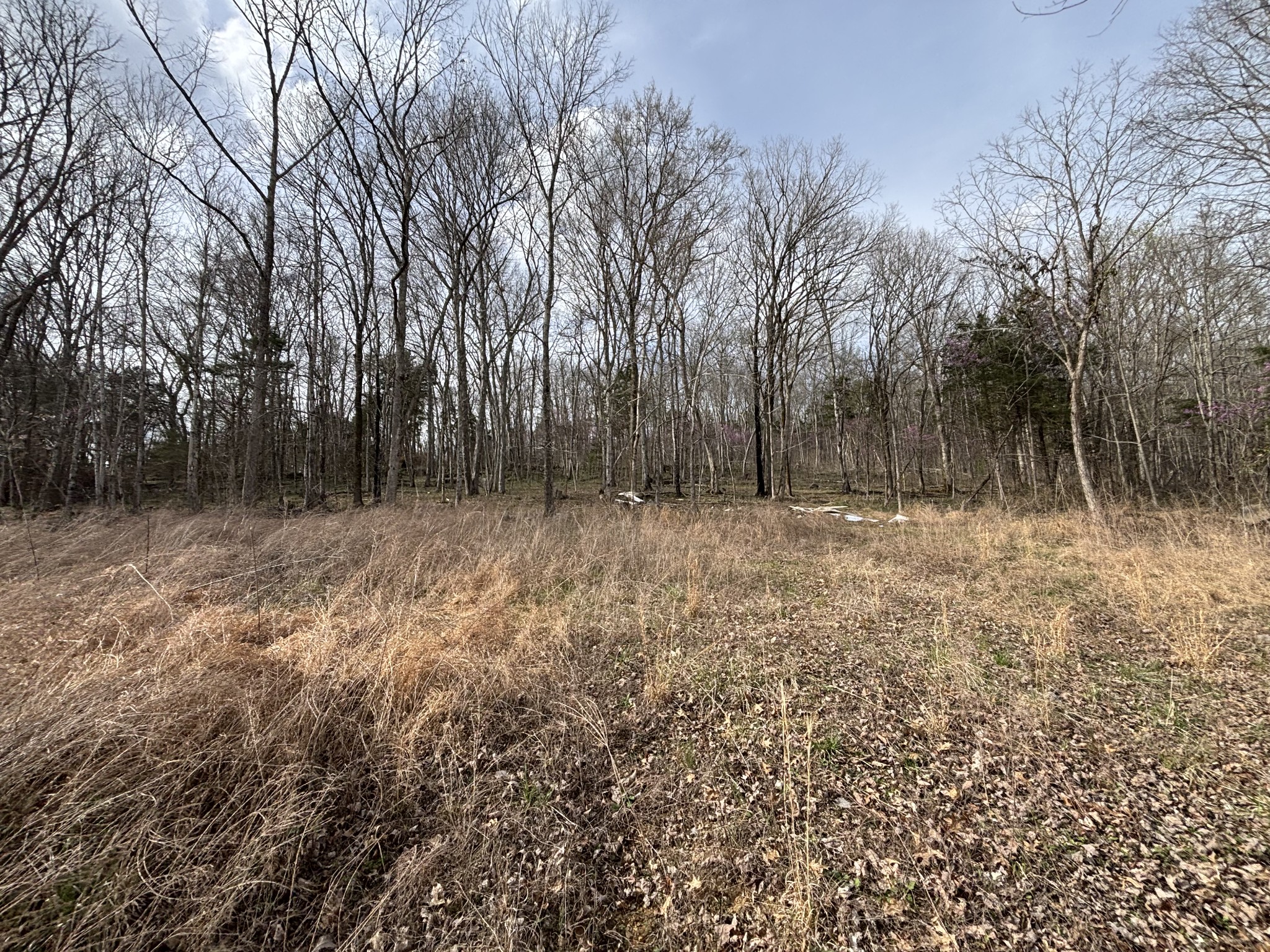 2200 Rock Springs Road Watertown TN 37184