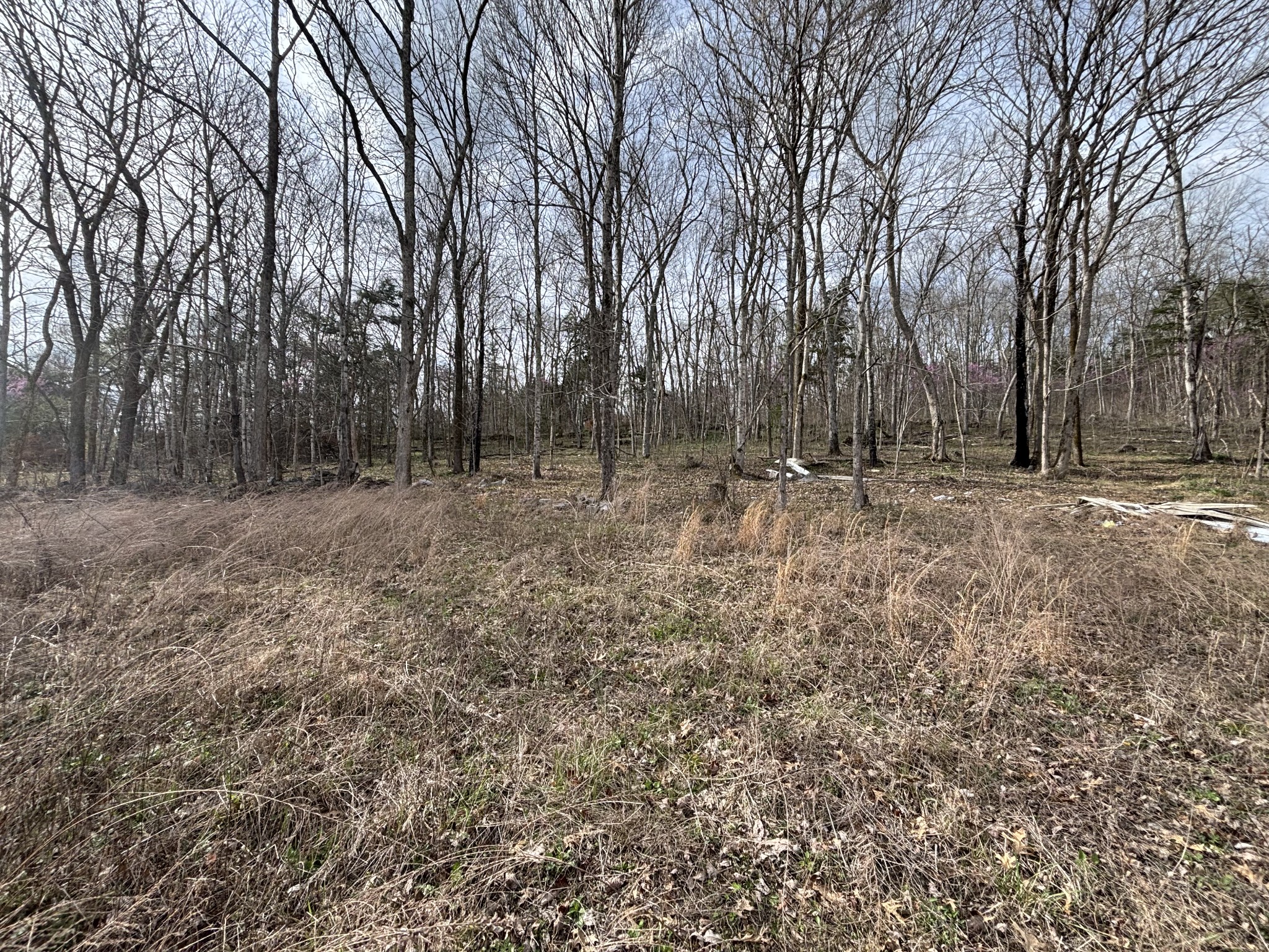 2200 Rock Springs Road Watertown TN 37184