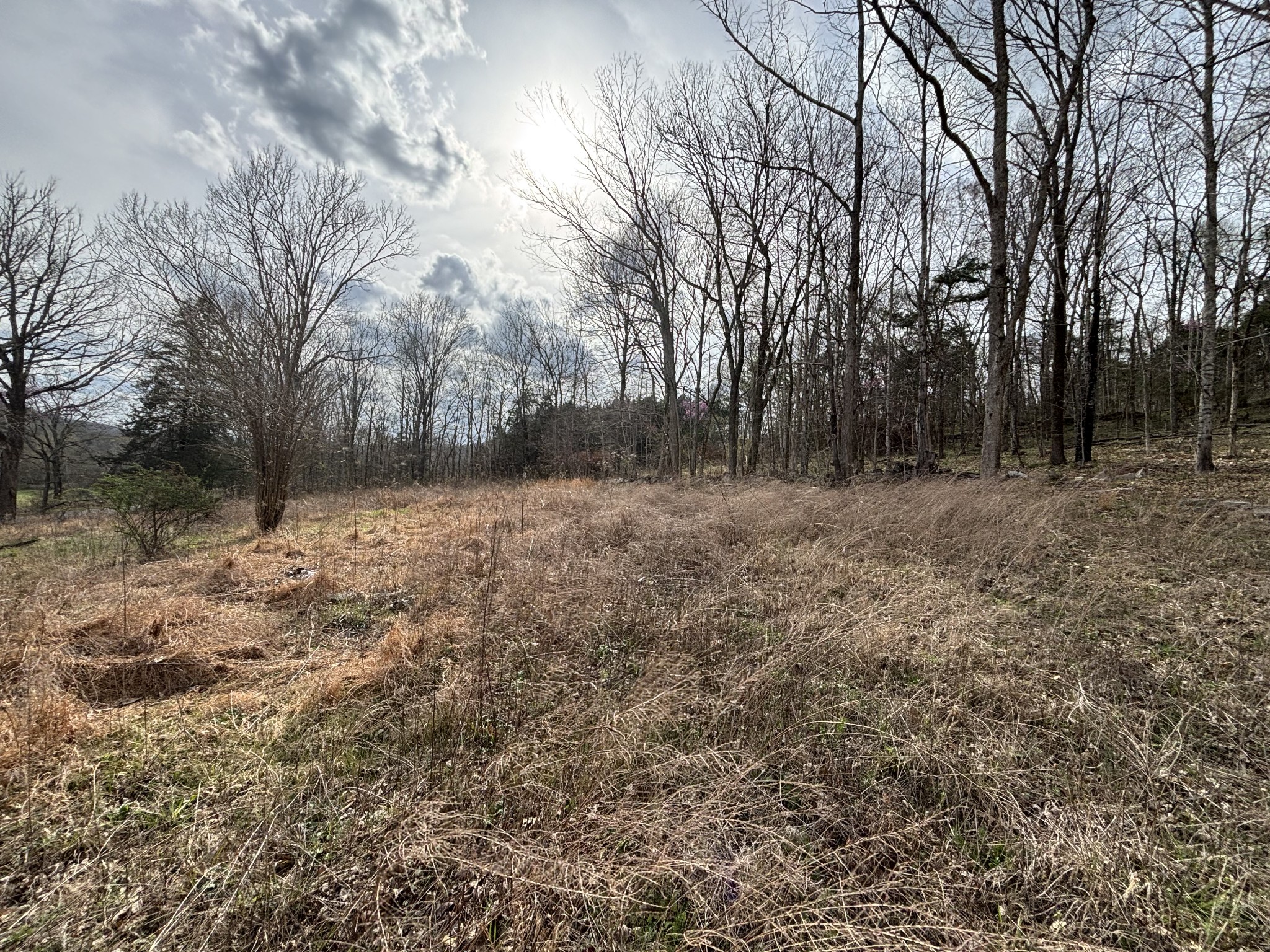 2200 Rock Springs Road Watertown TN 37184