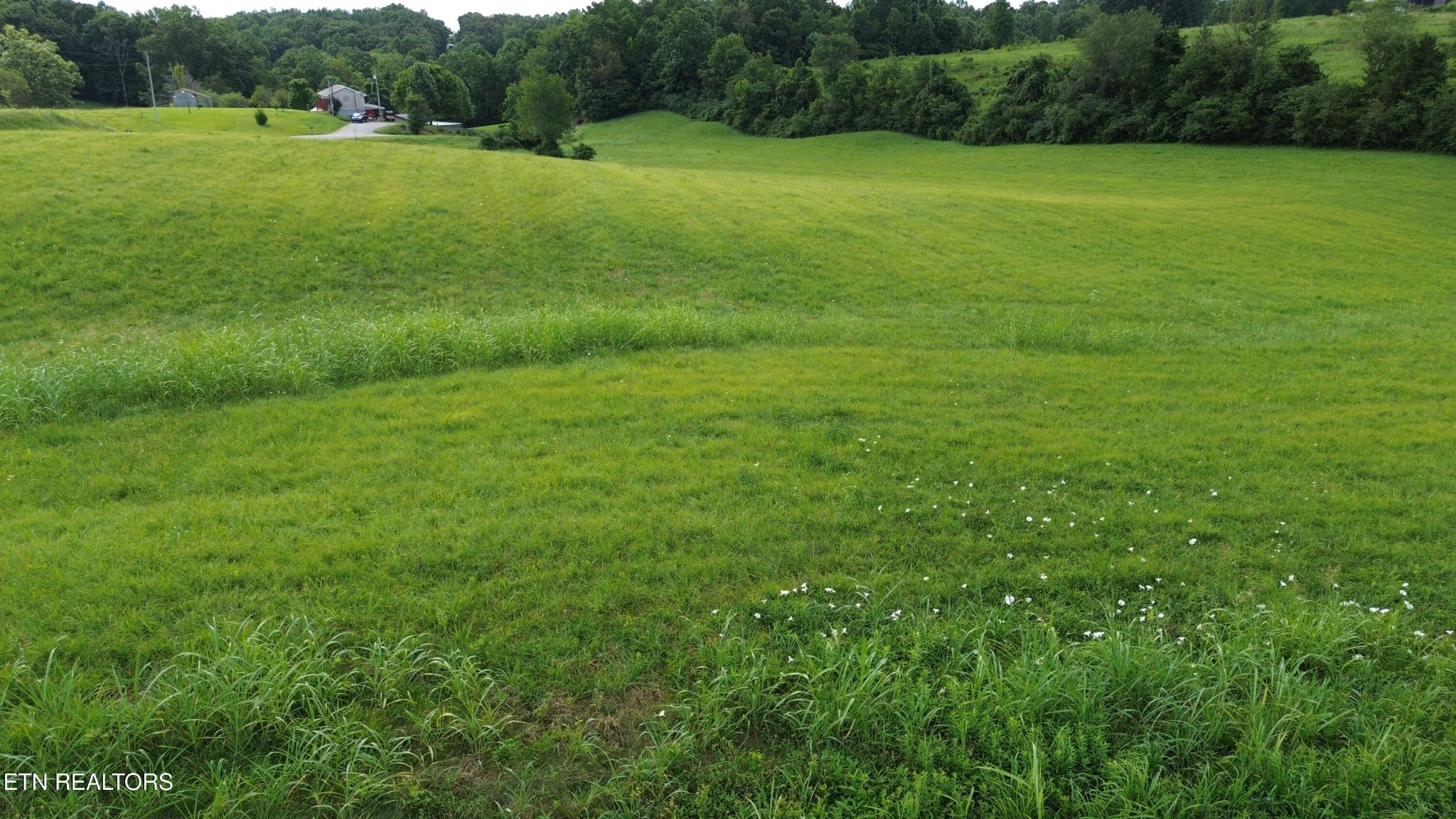 85 Flowers Road Monroe TN 38573