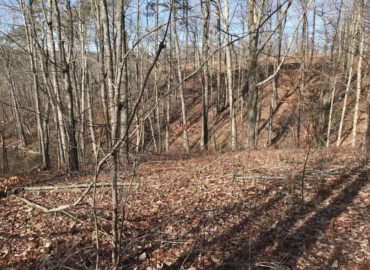 0 Chestnut Oak Drive Dunlap TN 37327