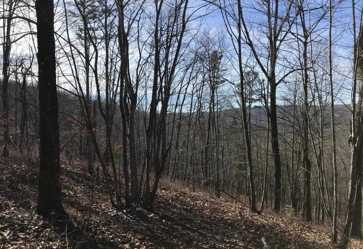 0 Chestnut Oak Drive Dunlap TN 37327
