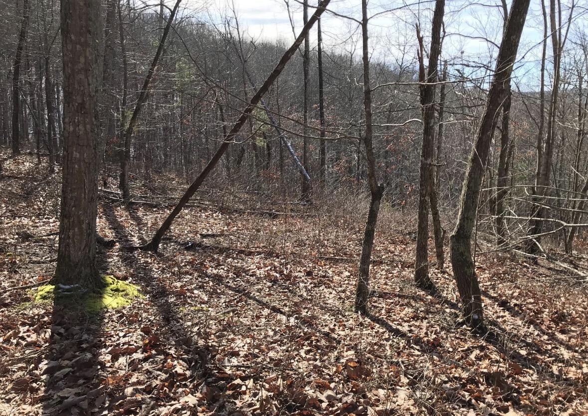 0 Chestnut Oak Drive Dunlap TN 37327