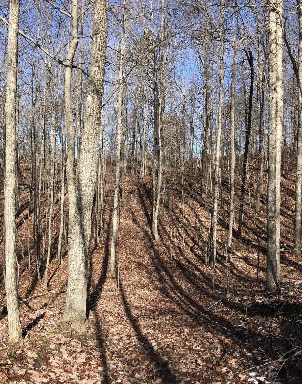 0 Chestnut Oak Drive Dunlap TN 37327