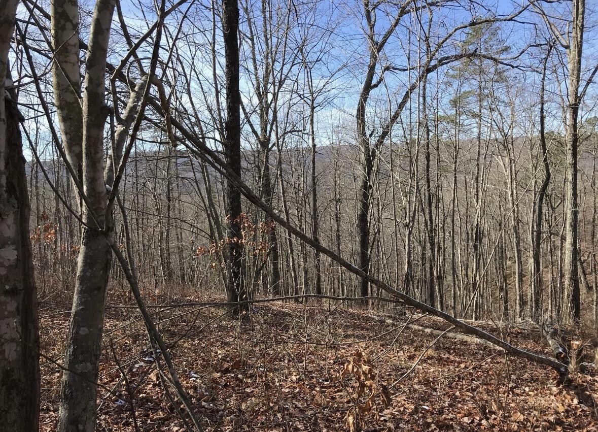 0 Chestnut Oak Drive Dunlap TN 37327