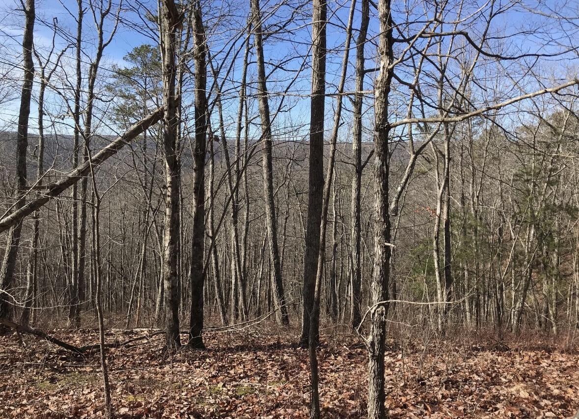0 Chestnut Oak Drive Dunlap TN 37327