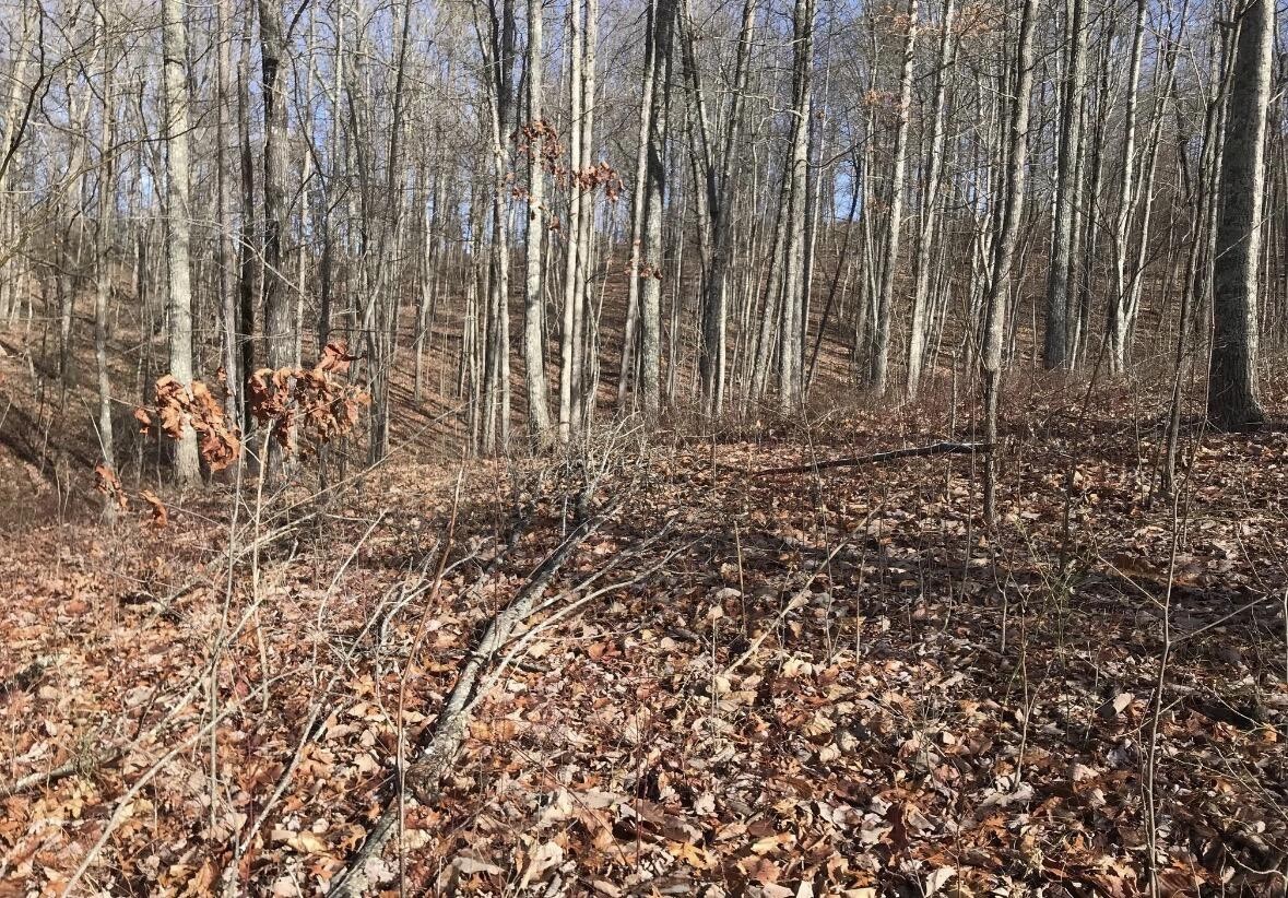 0 Chestnut Oak Drive Dunlap TN 37327