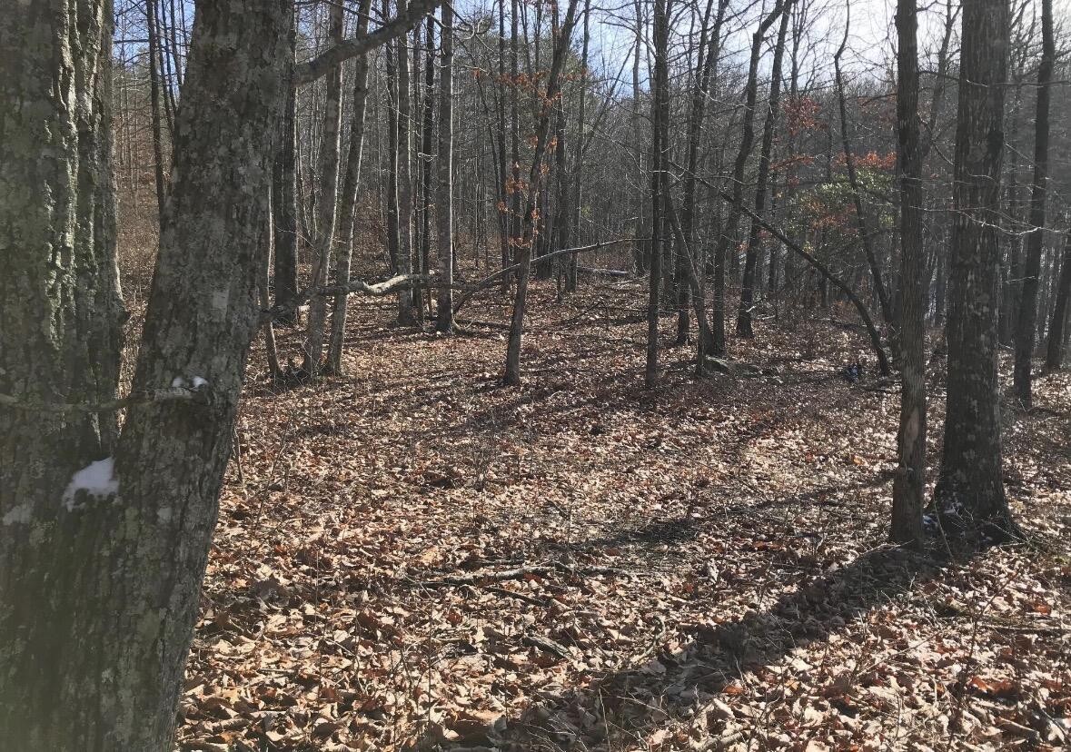 0 Chestnut Oak Drive Dunlap TN 37327