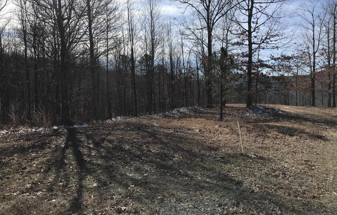0 Chestnut Oak Drive Dunlap TN 37327
