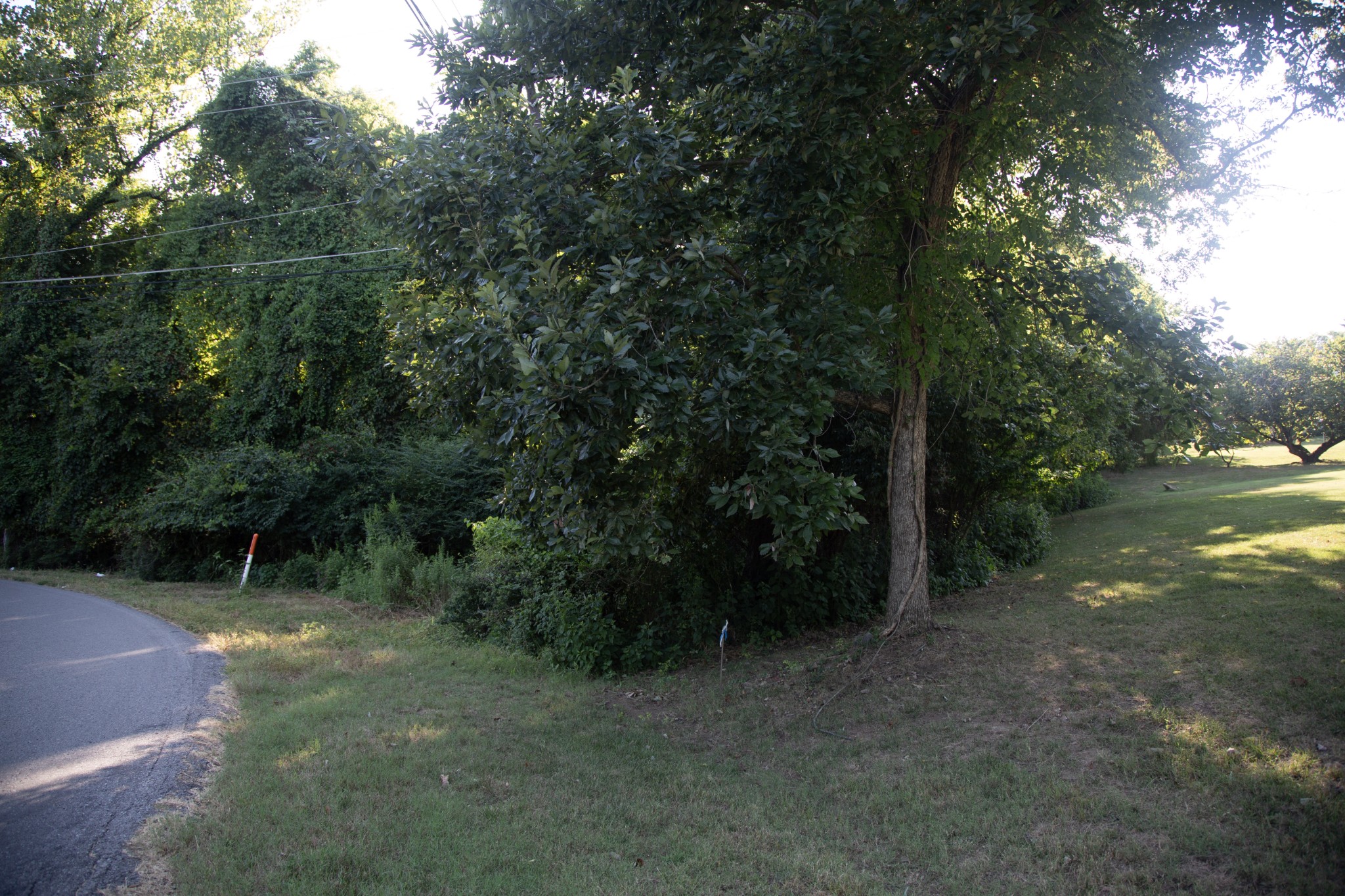 584 Cumberland Hills Drive Hendersonville TN 37075