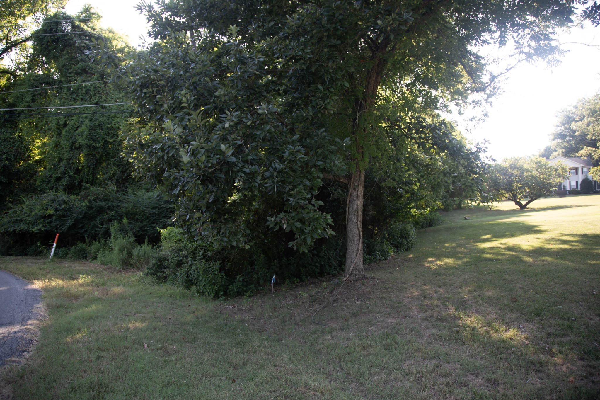 584 Cumberland Hills Drive Hendersonville TN 37075