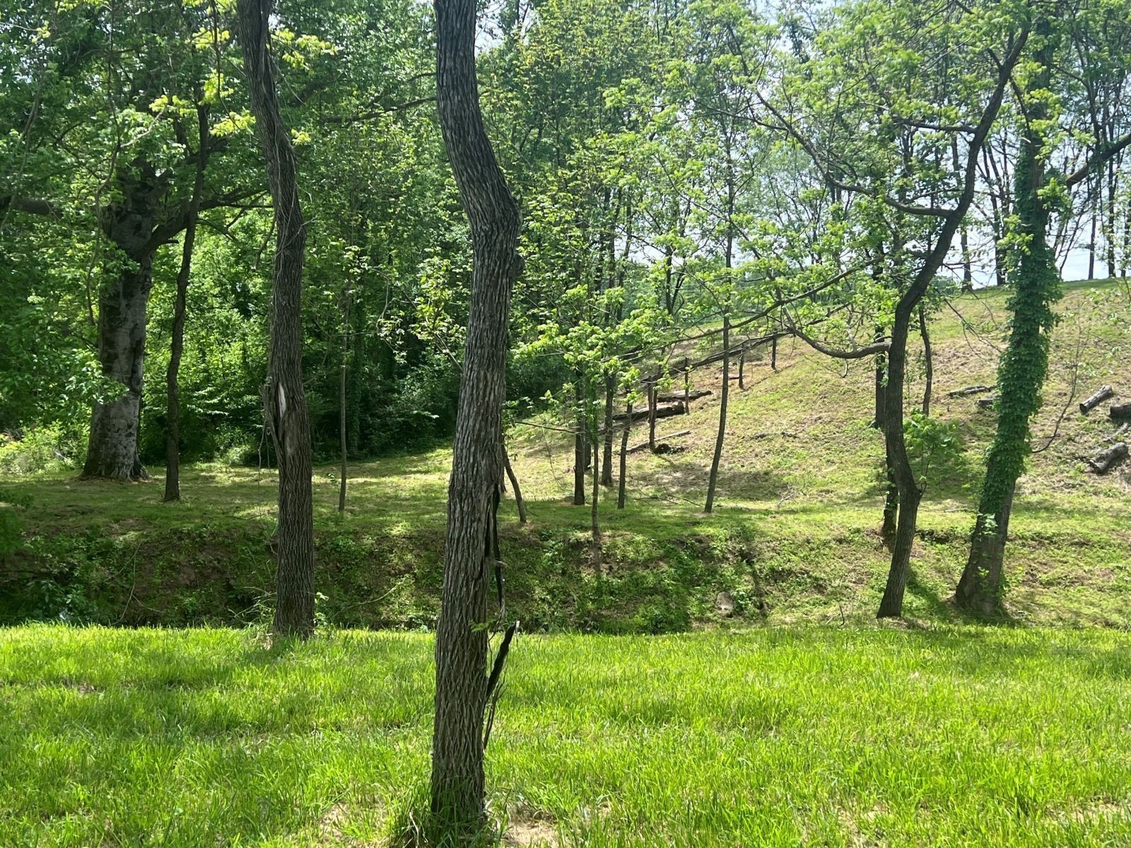 5006 Rock Springs Road Smyrna TN 37167