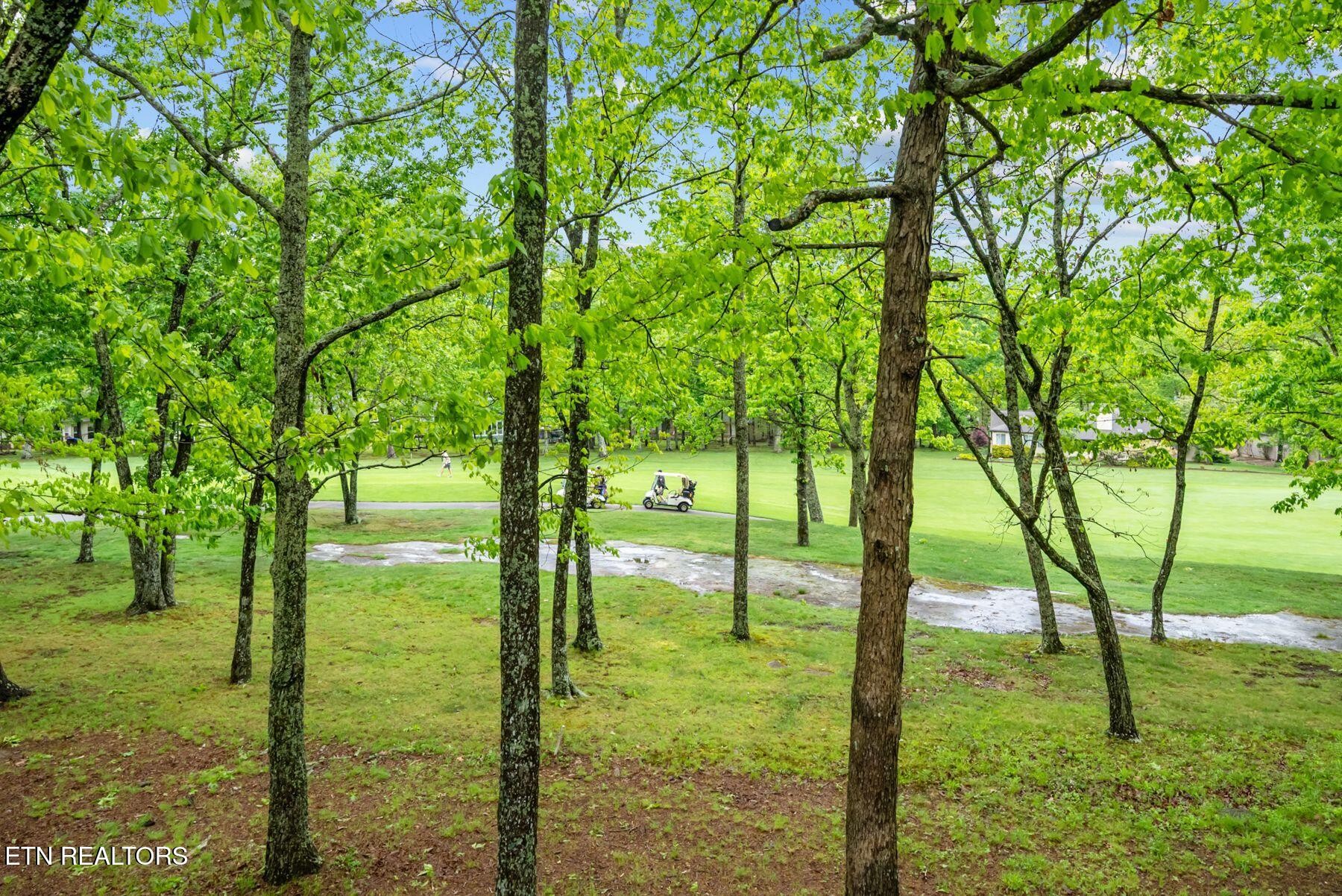 116 Greenwood Road Crossville TN 38558