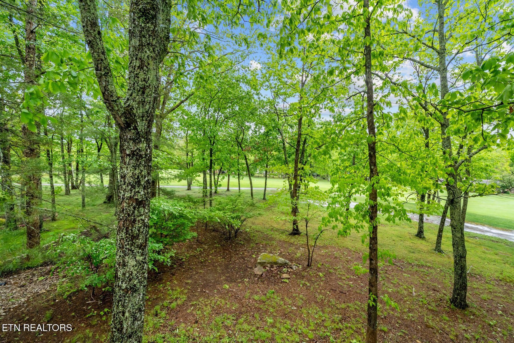 116 Greenwood Road Crossville TN 38558