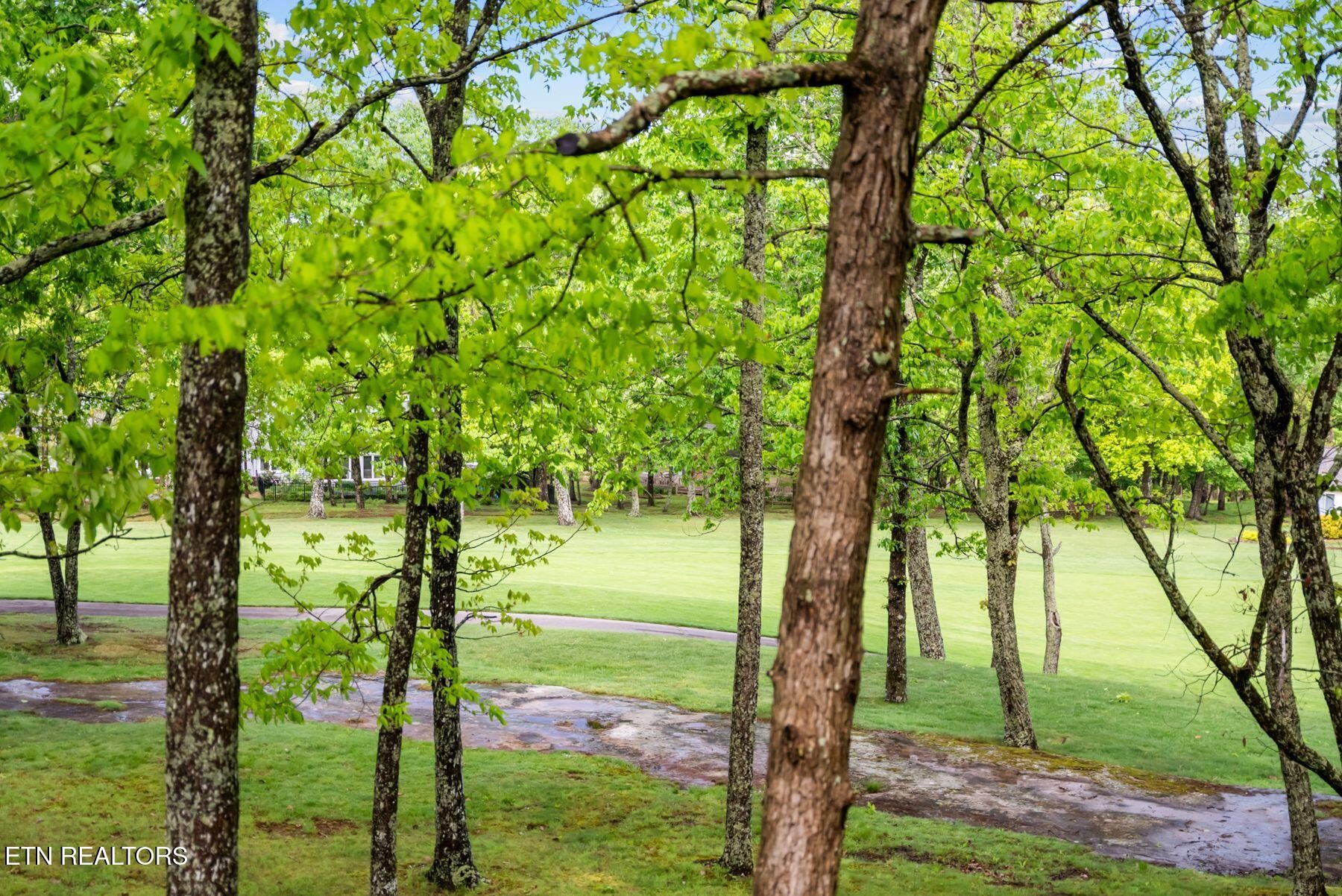 116 Greenwood Road Crossville TN 38558