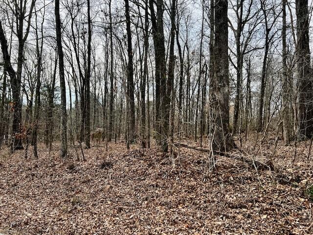 380 County Road 709 Riceville TN 37370