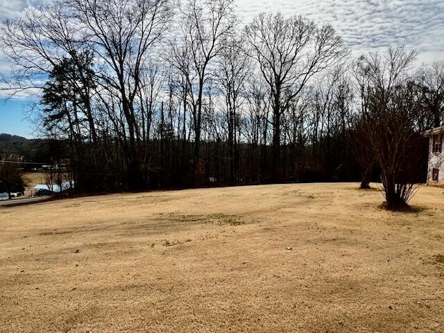 380 County Road 709 Riceville TN 37370