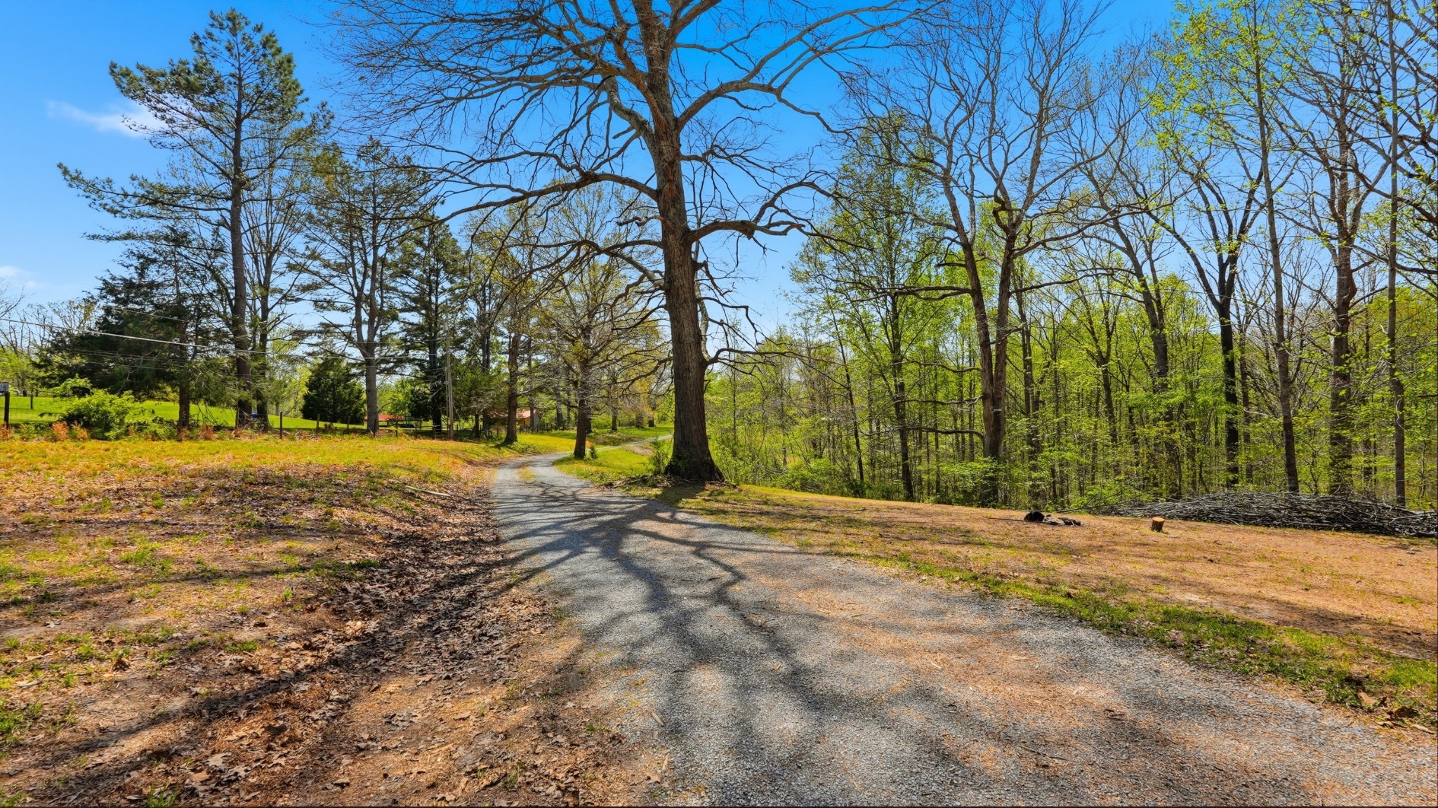 7915 Ridgewood Road Goodlettsville TN 37072