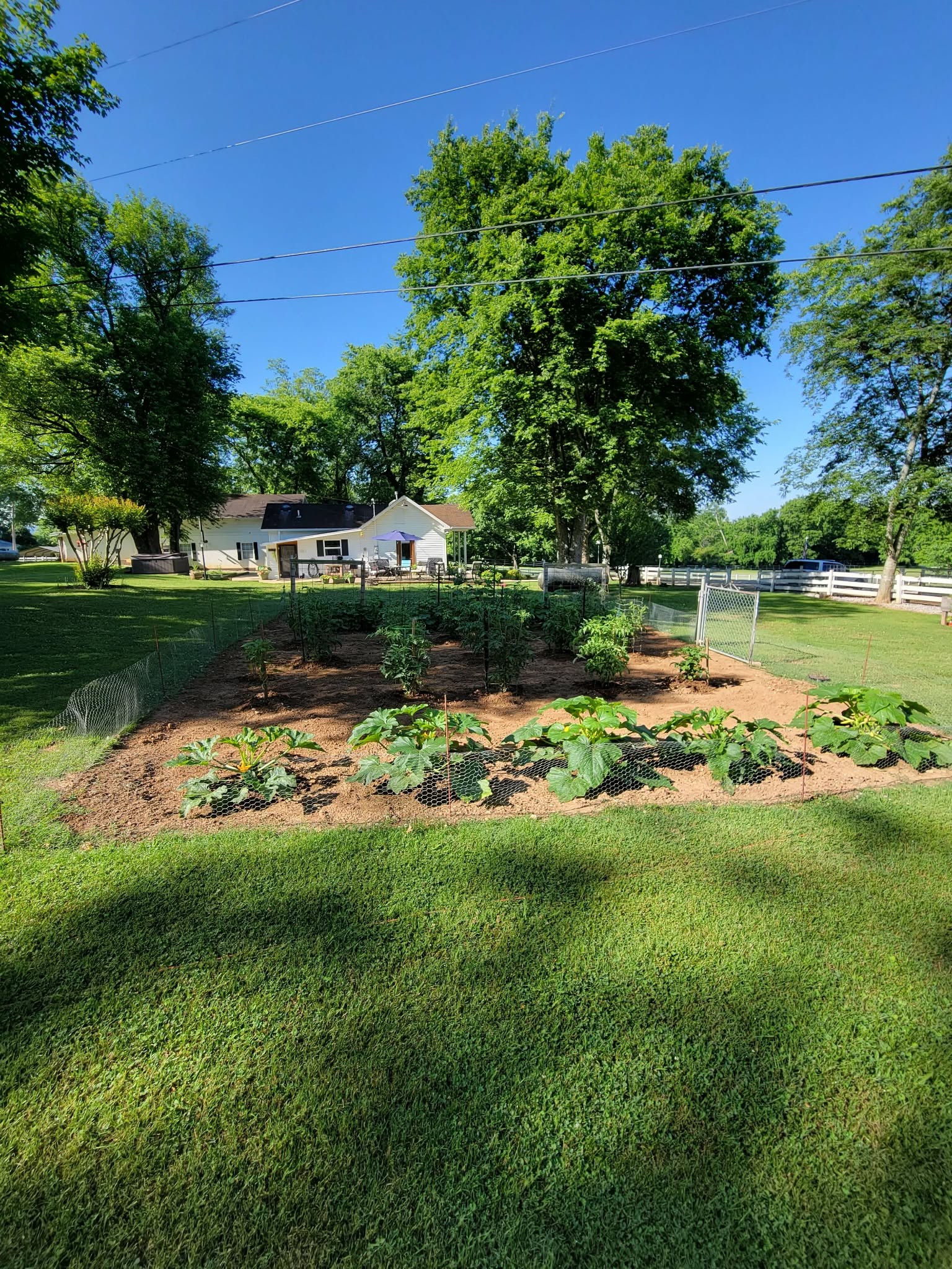 6222 Cayce Lane Columbia TN 38401