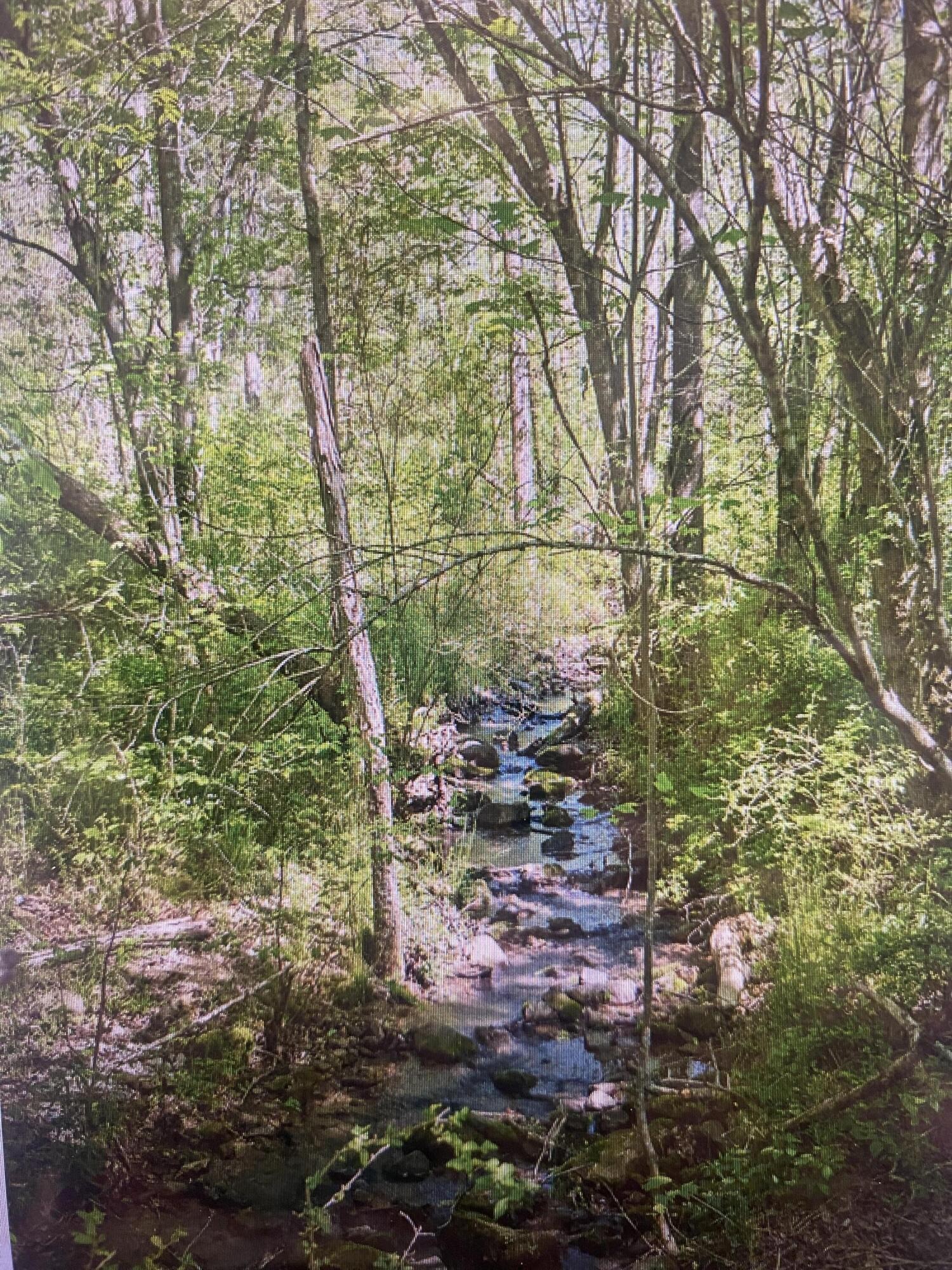 1 Smith Road Dunlap TN 37327