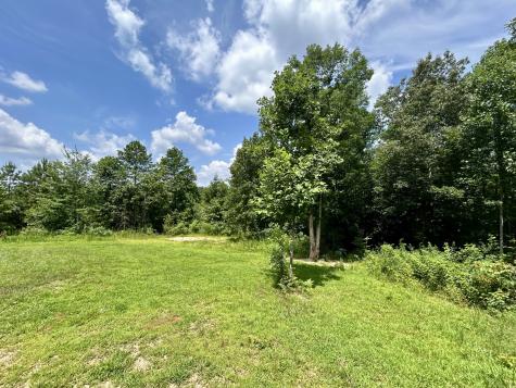 443 Sickler Road Hohenwald TN 38462