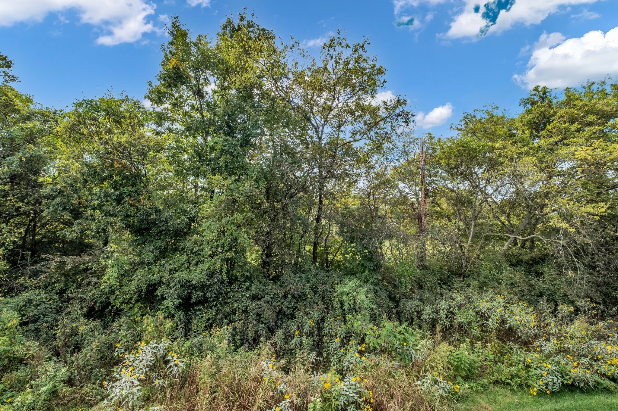 1304 Halter Park Drive Gallatin TN 37066