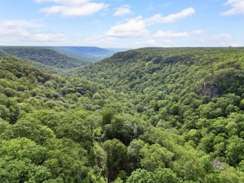 232 Hollingsworth Cove Road Monteagle TN 37356
