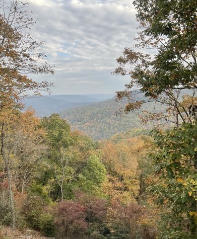 232 Hollingsworth Cove Road Monteagle TN 37356