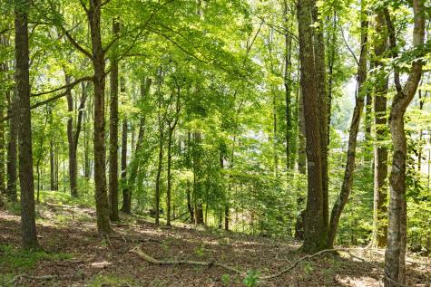 0 E Rockcrest Circle Winchester TN 37398