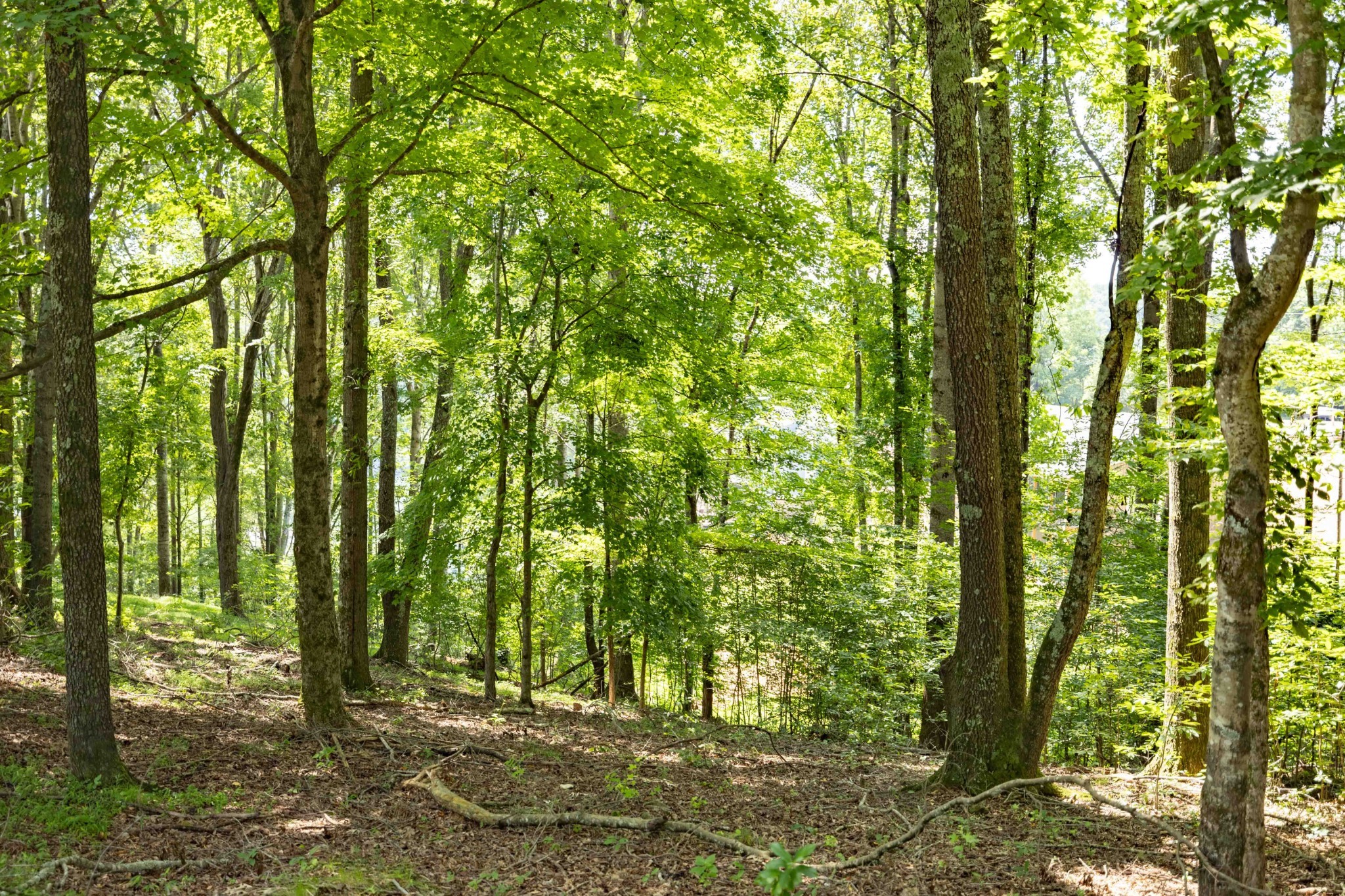 0 E Rockcrest Circle Winchester TN 37398