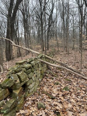 0 Jocelyn Hollow Road Nashville TN 37205