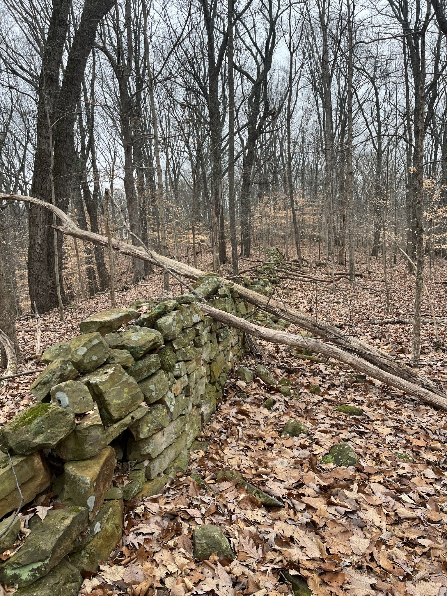 0 Jocelyn Hollow Road Nashville TN 37205