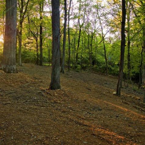 0 Jocelyn Hollow Road Nashville TN 37205