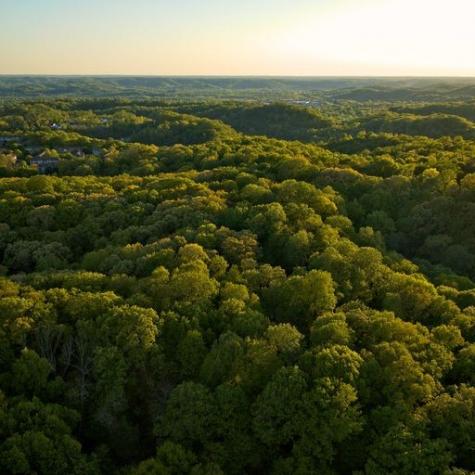 0 Jocelyn Hollow Road Nashville TN 37205