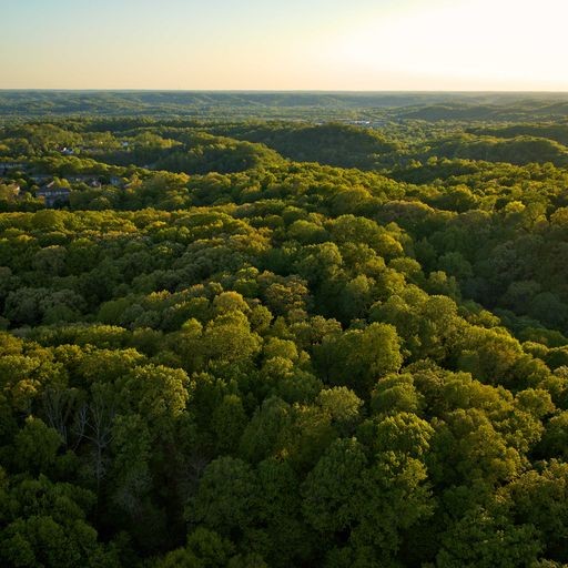 0 Jocelyn Hollow Road Nashville TN 37205