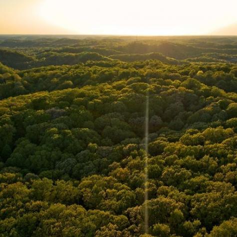 0 Jocelyn Hollow Road Nashville TN 37205