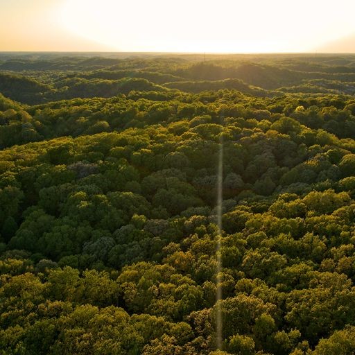 0 Jocelyn Hollow Road Nashville TN 37205