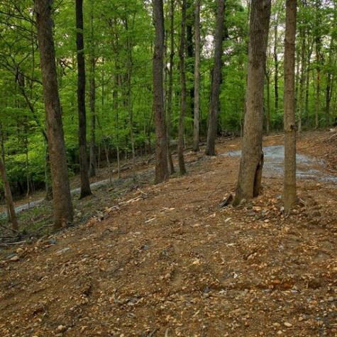 0 Jocelyn Hollow Road Nashville TN 37205