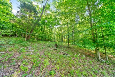 6466 Highway 48, N Cumberland Furnace TN 37051