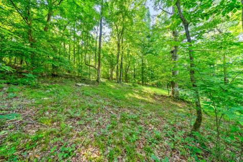6466 Highway 48, N Cumberland Furnace TN 37051