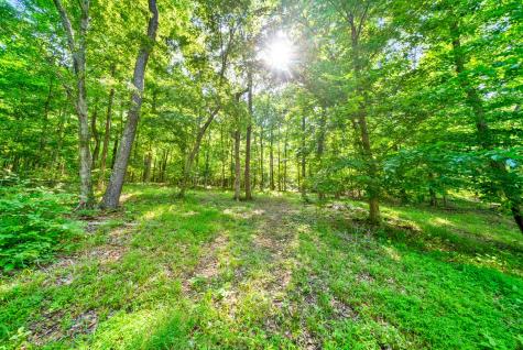 6466 Highway 48, N Cumberland Furnace TN 37051