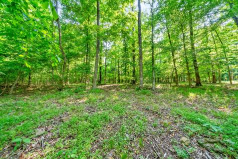6466 Highway 48, N Cumberland Furnace TN 37051
