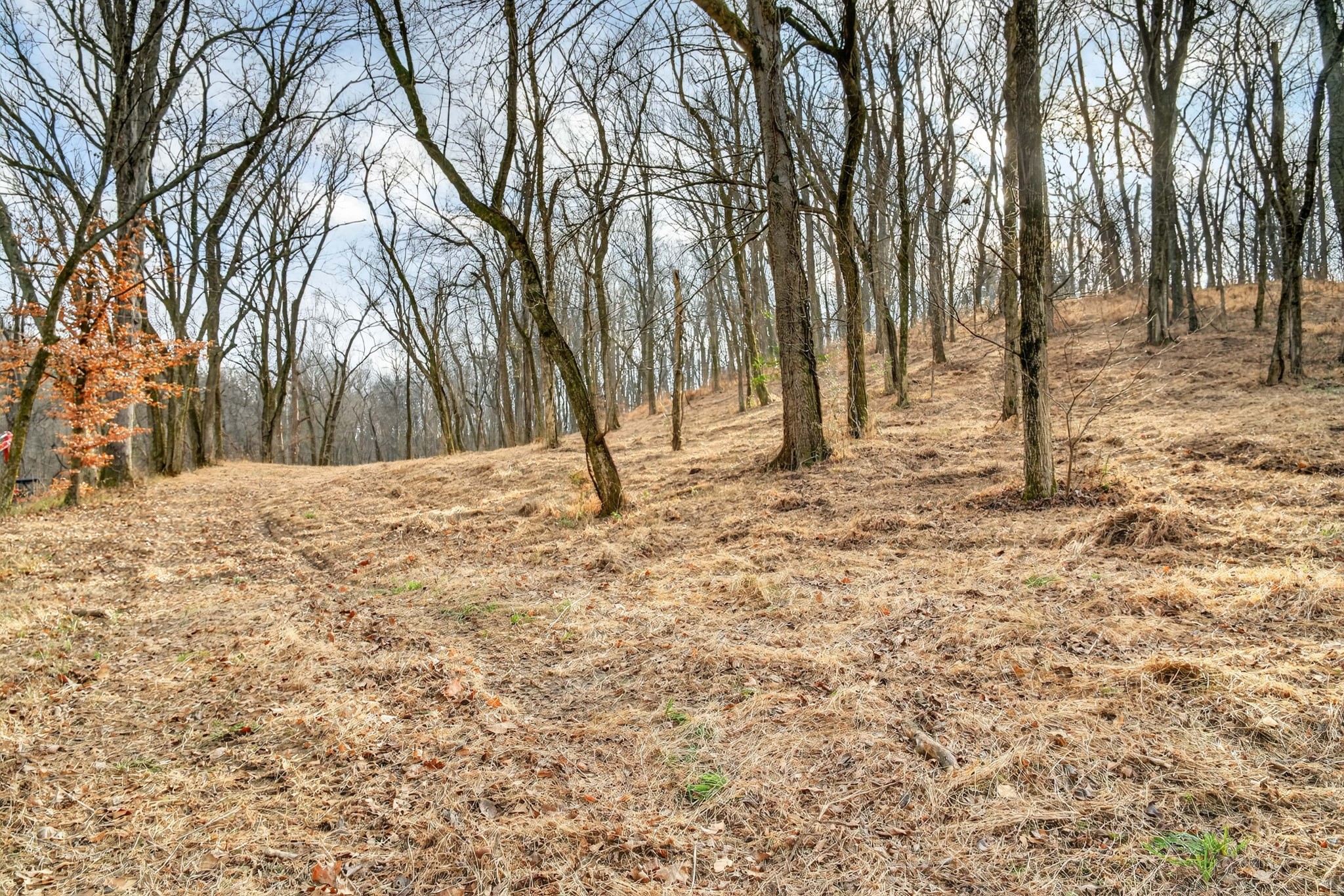 2955 Bostic Road Nolensville TN 37135