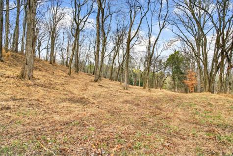 2955 Bostic Road Nolensville TN 37135