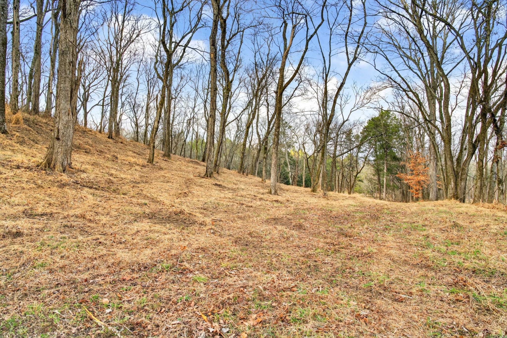 2955 Bostic Road Nolensville TN 37135