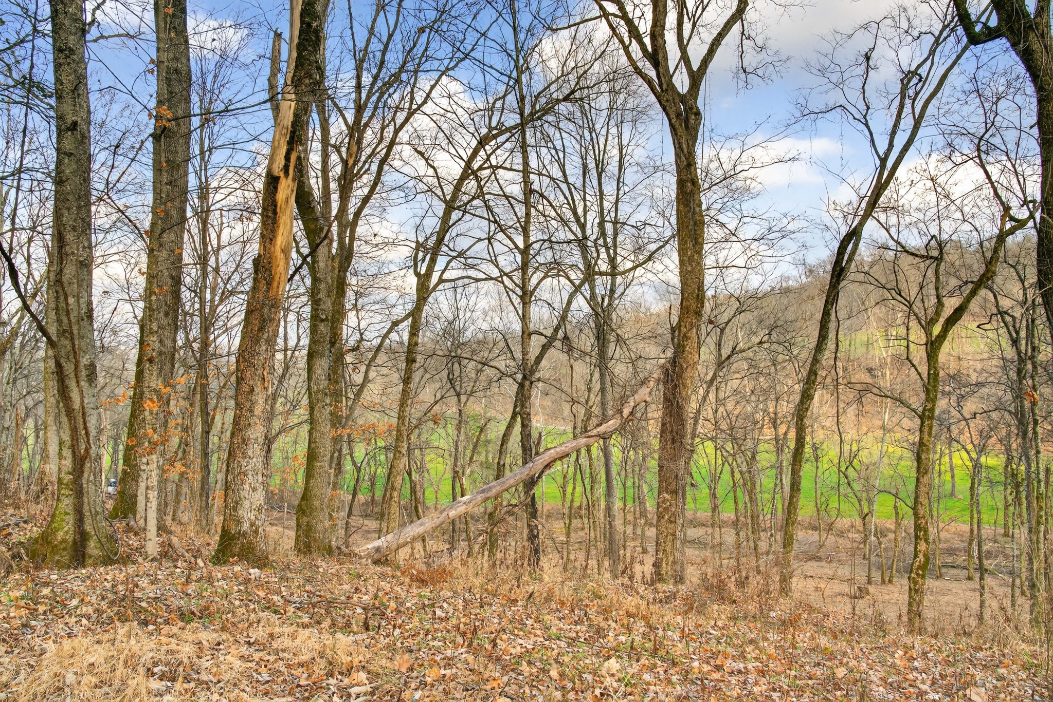 2955 Bostic Road Nolensville TN 37135