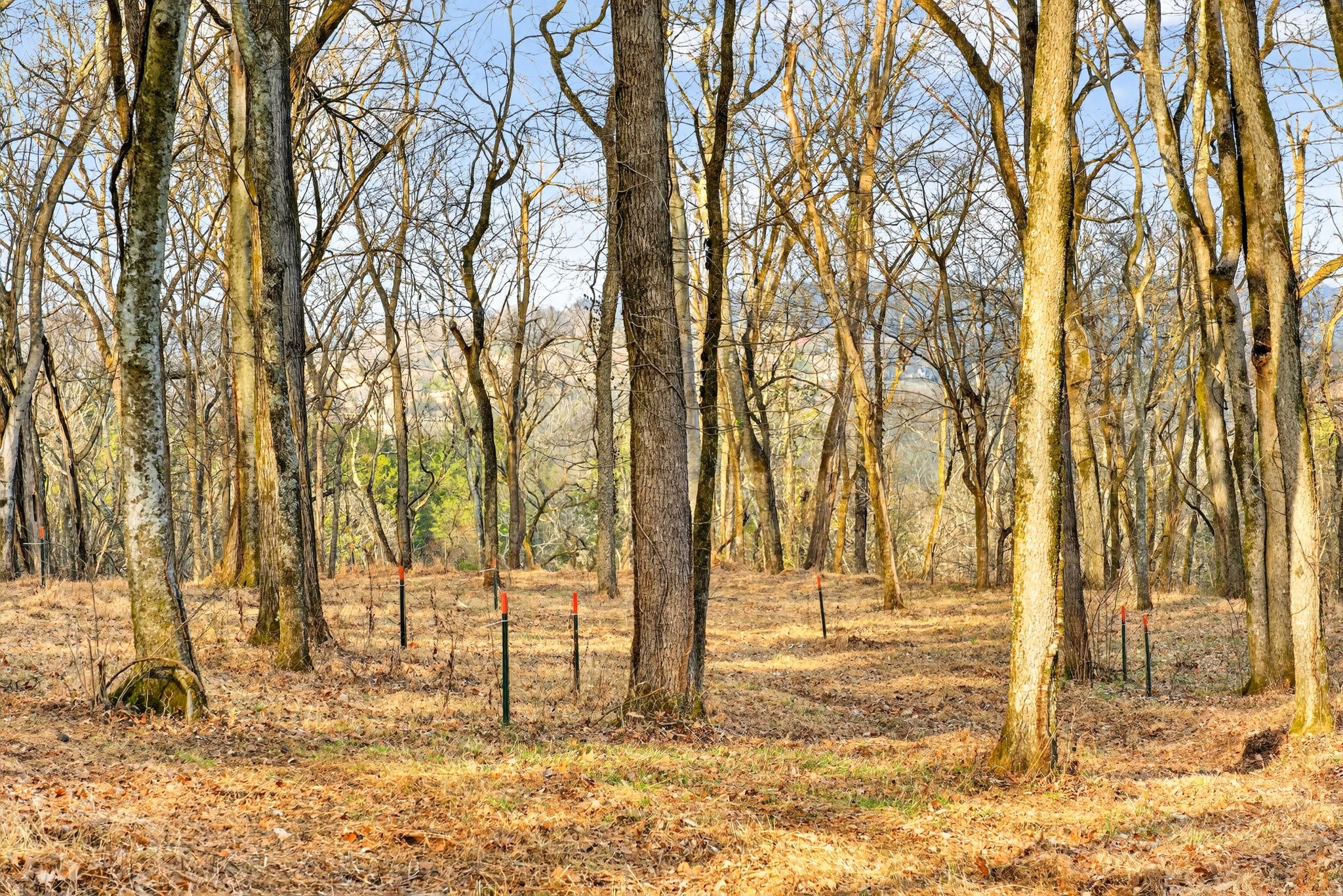 2955 Bostic Road Nolensville TN 37135