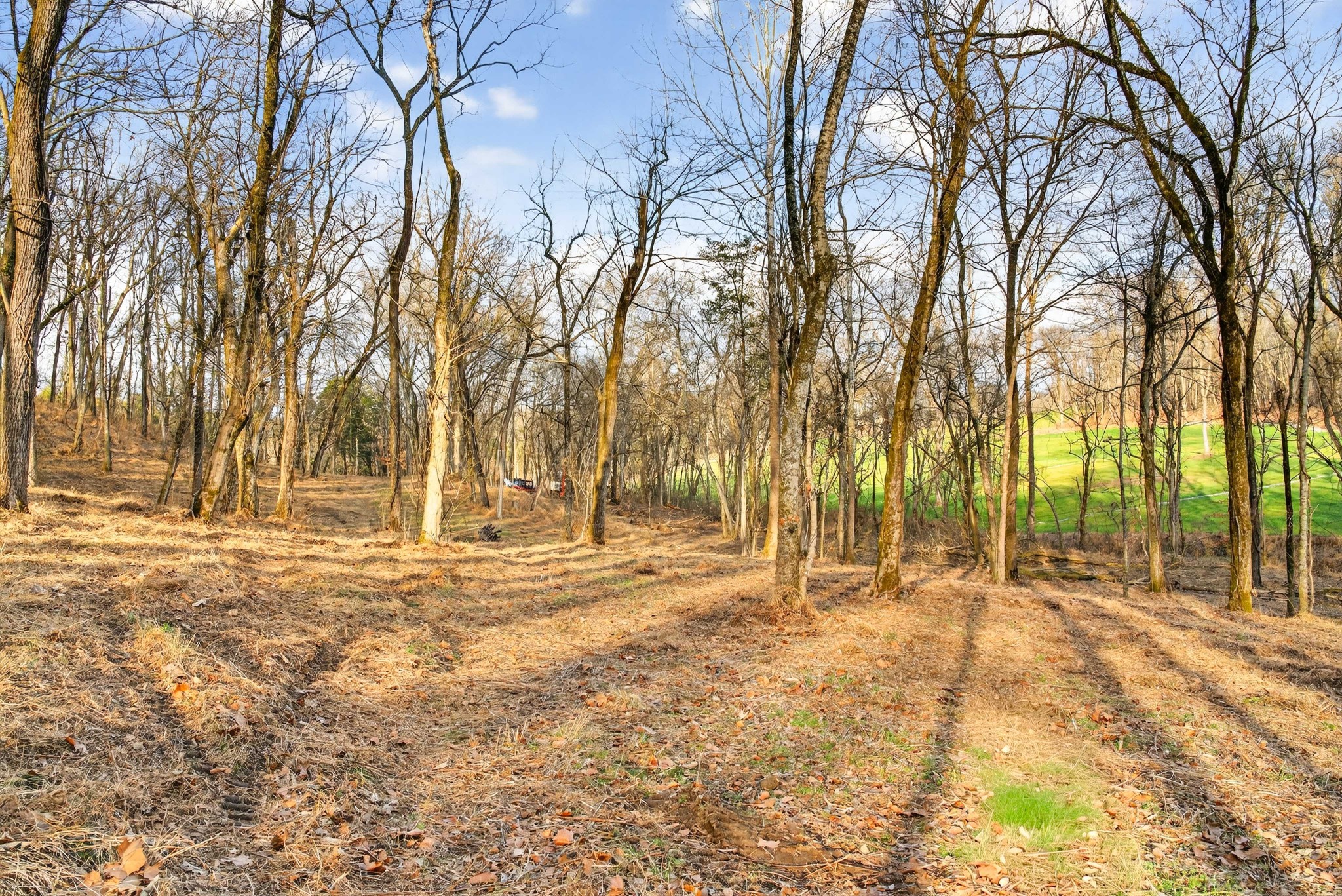 2955 Bostic Road Nolensville TN 37135