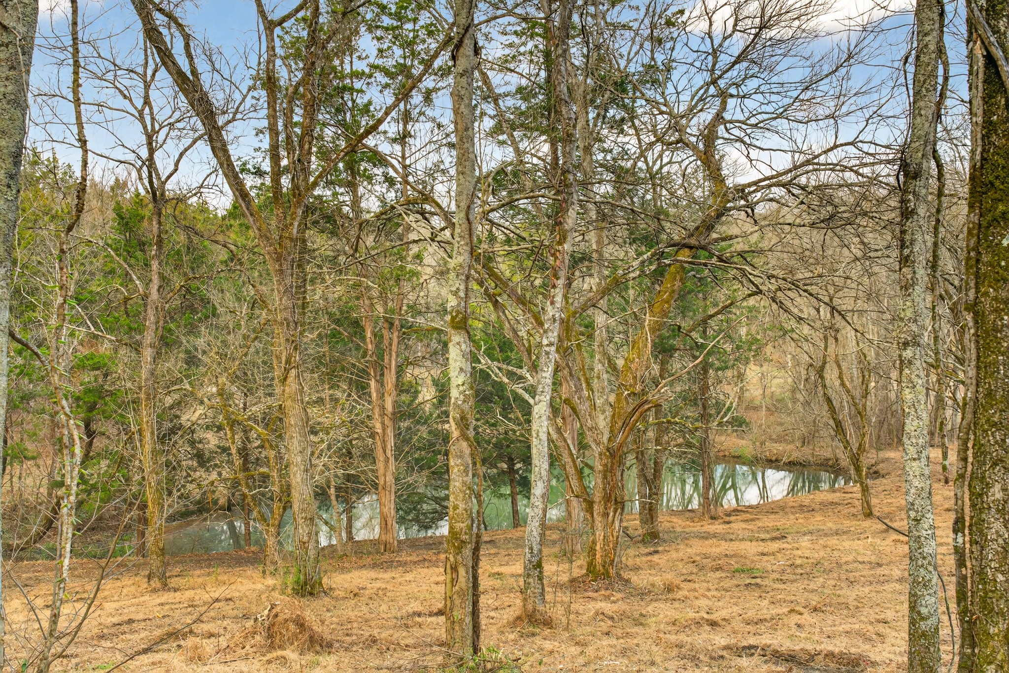 2955 Bostic Road Nolensville TN 37135