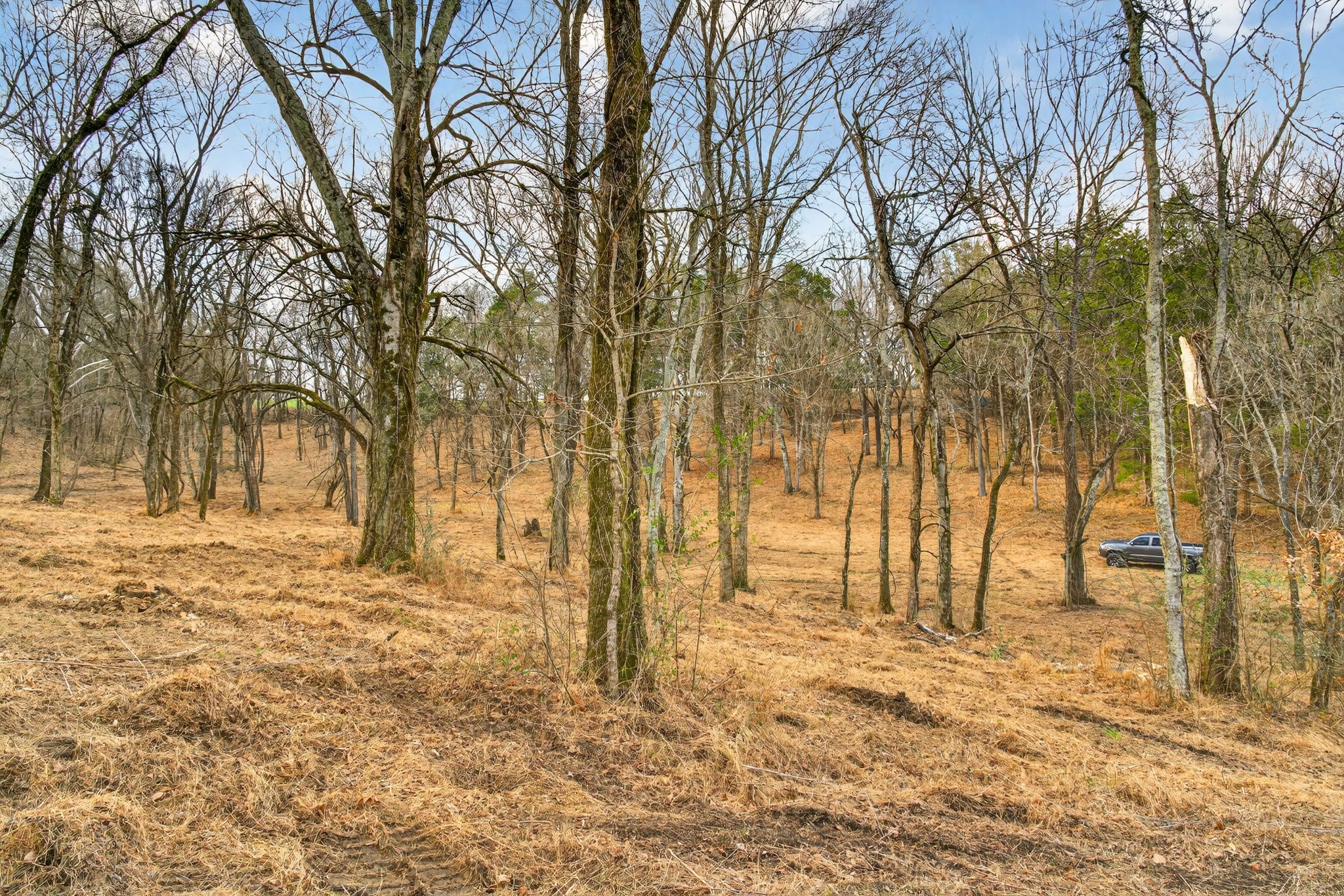 2955 Bostic Road Nolensville TN 37135